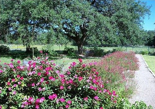 ג'ונסון סיטי Chantilly Lace Country Inn מראה חיצוני תמונה
